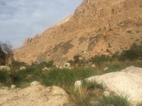 171 Wadi Tiwi &ndash; &copy; Patrick Fritzsche (Eberhardt TRAVEL)