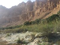 173 Wadi Tiwi &ndash; &copy; Patrick Fritzsche (Eberhardt TRAVEL)