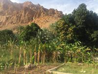 175 Wadi Tiwi &ndash; &copy; Patrick Fritzsche (Eberhardt TRAVEL)