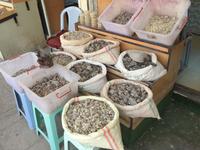 Souk in Salalah &ndash; &copy; Patrick Fritzsche (Eberhardt TRAVEL)
