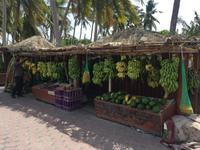 Obstplantage &ndash; &copy; Patrick Fritzsche (Eberhardt TRAVEL)