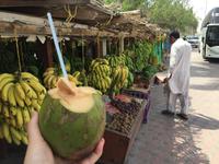 Obstplantage &ndash; &copy; Patrick Fritzsche (Eberhardt TRAVEL)