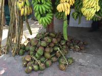 Obstplantage &ndash; &copy; Patrick Fritzsche (Eberhardt TRAVEL)