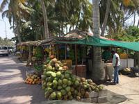 Obstplantage &ndash; &copy; Patrick Fritzsche (Eberhardt TRAVEL)