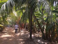 Obstplantage &ndash; &copy; Patrick Fritzsche (Eberhardt TRAVEL)