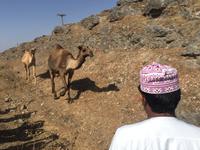 unterwegs in West-Salalah &ndash; &copy; Patrick Fritzsche (Eberhardt TRAVEL)