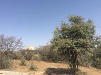 Grab des Propheten Hiob &ndash; &copy; Patrick Fritzsche (Eberhardt TRAVEL)
