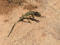 unterwegs in West-Salalah &ndash; &copy; Patrick Fritzsche (Eberhardt TRAVEL)