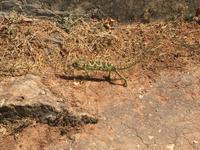 unterwegs in West-Salalah &ndash; &copy; Patrick Fritzsche (Eberhardt TRAVEL)