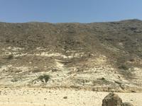 unterwegs in West-Salalah &ndash; &copy; Patrick Fritzsche (Eberhardt TRAVEL)