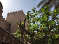 Ost-Salalah - Taqha Fort &ndash; &copy; Patrick Fritzsche (Eberhardt TRAVEL)