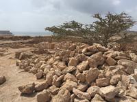 UNESCO-Welterbe Sumhuram &ndash; &copy; Patrick Fritzsche (Eberhardt TRAVEL)
