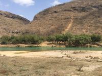 Ost-Salalah - Wadi Darbat &ndash; &copy; Patrick Fritzsche (Eberhardt TRAVEL)