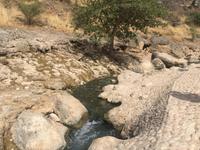 Ost-Salalah - Quellen Ain Razat &ndash; &copy; Patrick Fritzsche (Eberhardt TRAVEL)
