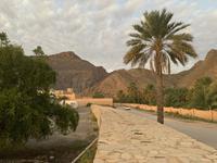 Birkat Al Mauz &ndash; &copy; Ralf Mehnert (Eberhardt TRAVEL)