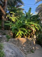 Misfat Al Abriyyen &ndash; &copy; Ralf Mehnert (Eberhardt TRAVEL)