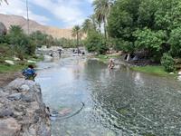 Quellen von Ain Al Thowarah &ndash; &copy; Ralf Mehnert (Eberhardt TRAVEL)