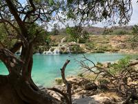 Wadi Darbat &ndash; &copy; Ralf Mehnert (Eberhardt TRAVEL)