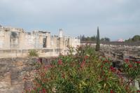 Ruinen von Capernaum &ndash; &copy; Michael Krause (Eberhardt TRAVEL)