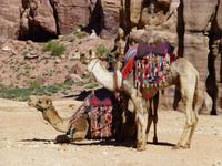 Petra &ndash; &copy; Ralf Kuchenbecker (Eberhardt TRAVEL)