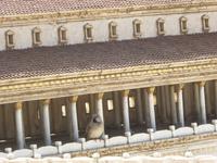 Israel Museum &ndash; &copy; Sabine Letzybyll (Eberhardt TRAVEL)