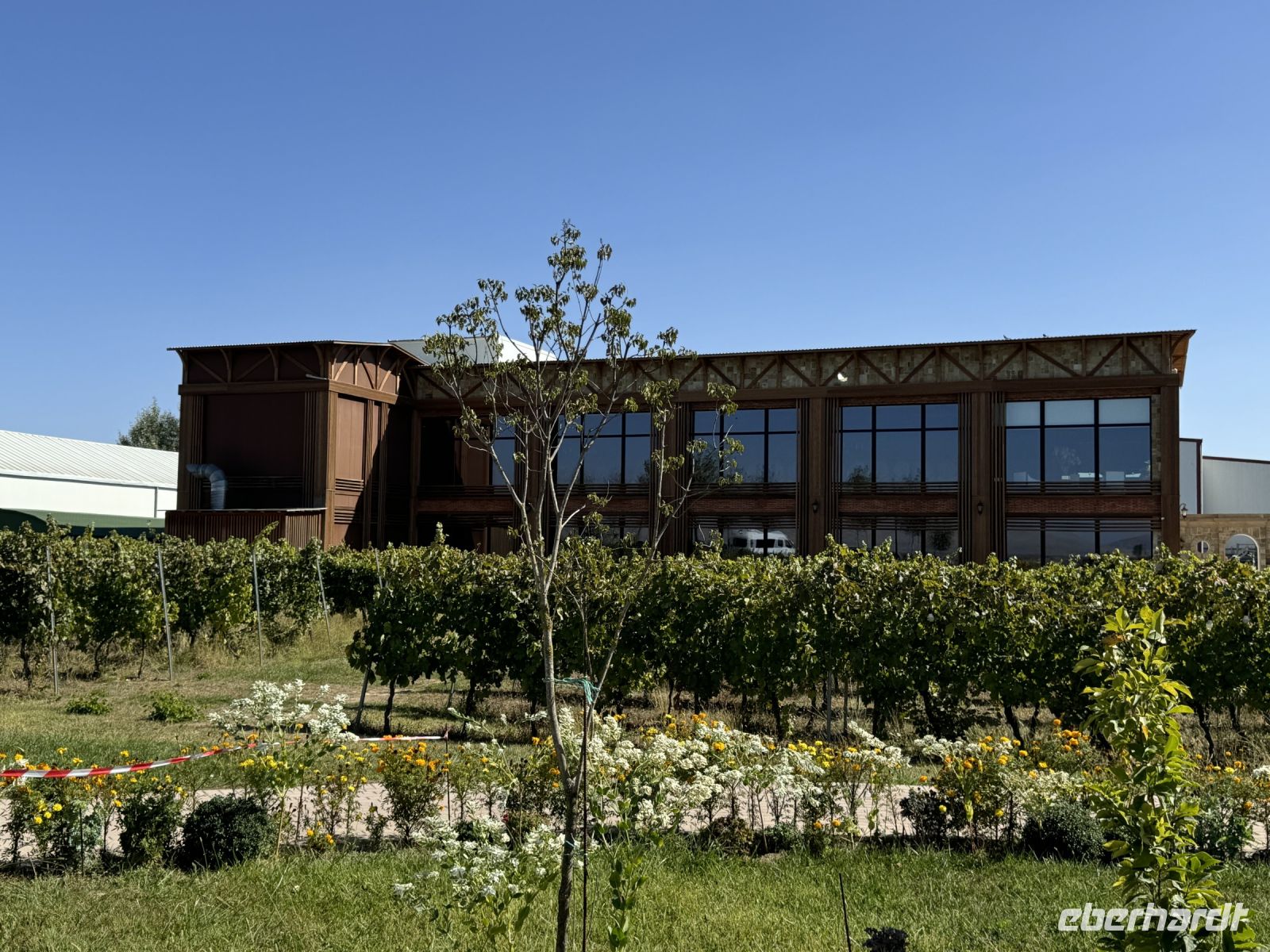 Weingut &ndash; &copy; Falk Rätzer (Eberhardt TRAVEL)
