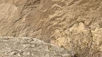 Gobustan Nationalpark  &ndash; &copy; Mareike Schmidt (Eberhardt TRAVEL)