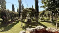 Weingut Marani &ndash; &copy; Mareike Schmidt (Eberhardt TRAVEL)