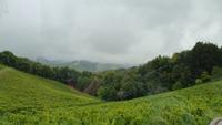 steirische Weinstraße &ndash; &copy; Marlies Thrum (Eberhardt TRAVEL)