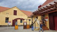Lipizzaner- Gestüt Piber &ndash; &copy; Marlies Thrum (Eberhardt TRAVEL)