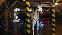 Kutschen im Lipizzaner- Gestüt Piber