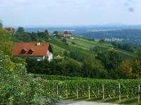 Schilcher Weinstraße &ndash; &copy; Kerstin Hugel (Eberhardt TRAVEL)