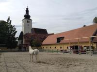 im Gestüt &ndash; &copy; Uta Schöne (Eberhardt TRAVEL)