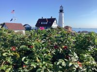 Maine &ndash; &copy; Roswitha Zytowski (Eberhardt TRAVEL)