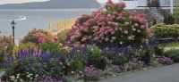 Bar Harbor &ndash; &copy; Marcus Hasselhorst (Eberhardt TRAVEL)