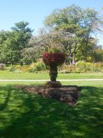 Public Gardens Halifax &ndash; &copy; Sylvia Sann (Eberhardt TRAVEL)