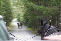 Acadia Nationalpark - Kutschfahrt &ndash; &copy; Maria Drewans (Eberhardt TRAVEL)