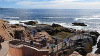 Acadia Nationalpark - Thunder Hole  &ndash; &copy; Maria Drewans (Eberhardt TRAVEL)