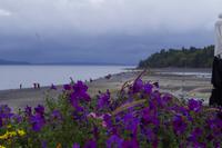 Bar Harbor, USA