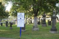 Halifax &ndash; &copy; Nicole Hickmann (Eberhardt TRAVEL)