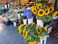 Tallinn Virustraße Blumenstand.jpg &ndash; &copy; Kathrin Mickan (Eberhardt TRAVEL)