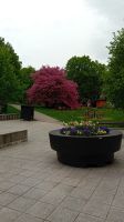 Park in Tartu