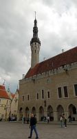Rathaus in Tallin