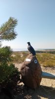 Kurische Nehrung &ndash; &copy; Allina Anderer (Eberhardt TRAVEL)