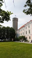 Tallin langer Hermann &ndash; &copy; Allina Anderer (Eberhardt TRAVEL)