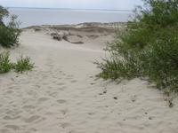 Hohe Düne  &ndash; &copy; Jürgen Schmeißer (Eberhardt TRAVEL)