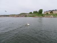 Bootsfahrt Helsinki &ndash; &copy; Kathrin Mickan (Eberhardt TRAVEL)