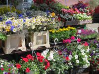 Rigaer Markt &ndash; &copy; Jürgen Schmeißer (Eberhardt TRAVEL)