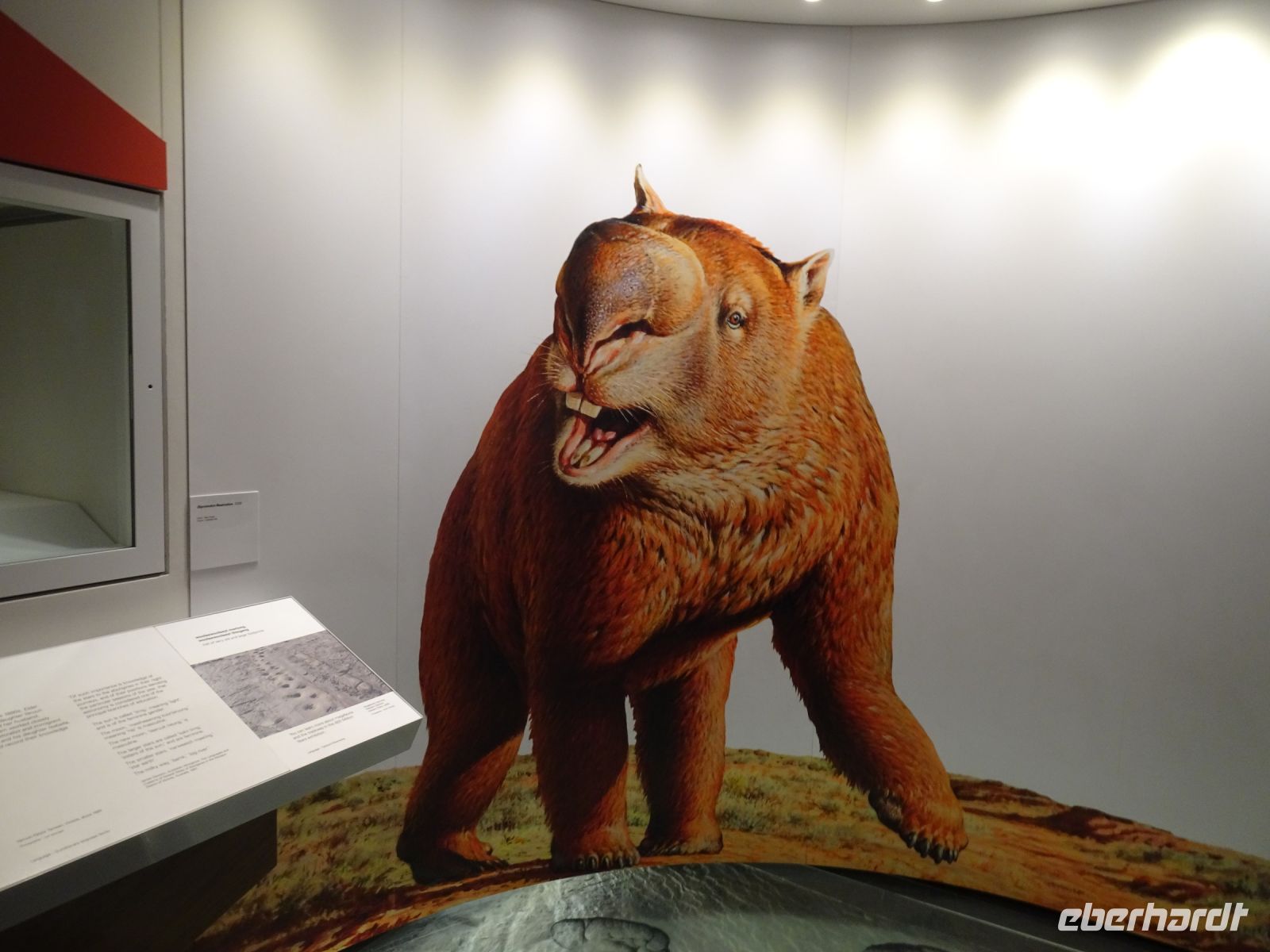 Australien - Melbourne - Museum &ndash; &copy; Sabine Letzybyll (Eberhardt TRAVEL)