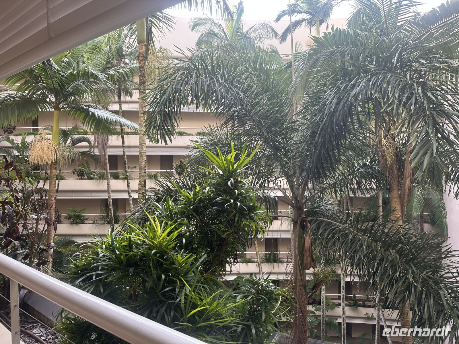 Australien - Cairns - Hotel Hilton Cairns &ndash; &copy; Sabine Letzybyll (Eberhardt TRAVEL)